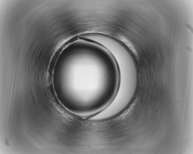 X0000099400876200805081532