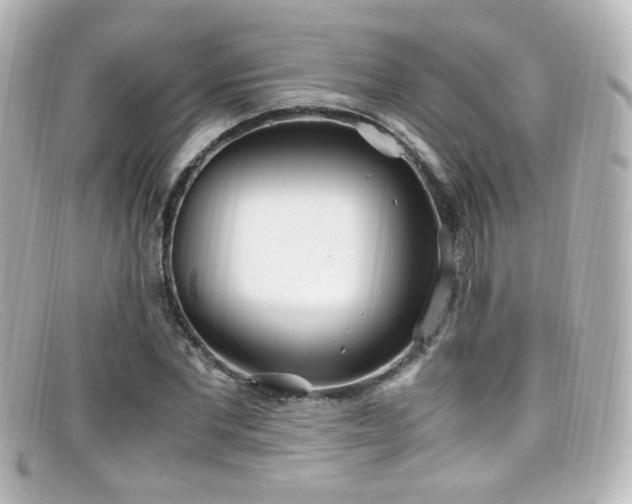 X0000099400877200805081532