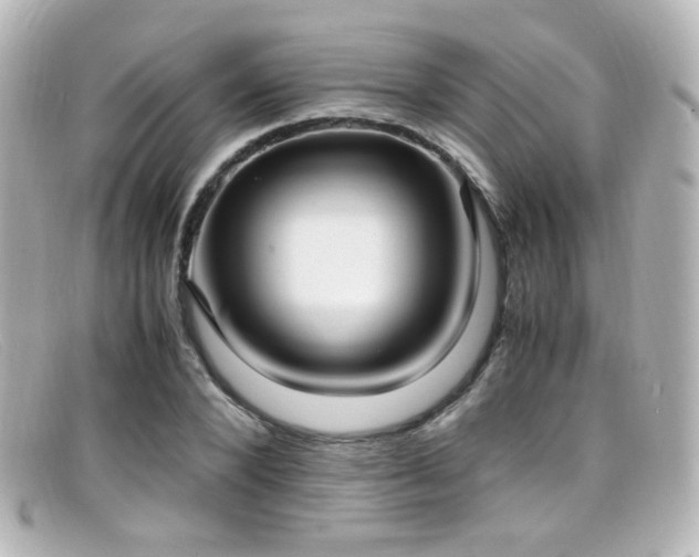 X0000099400880200805081532