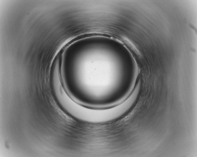 X0000099400884200805081532