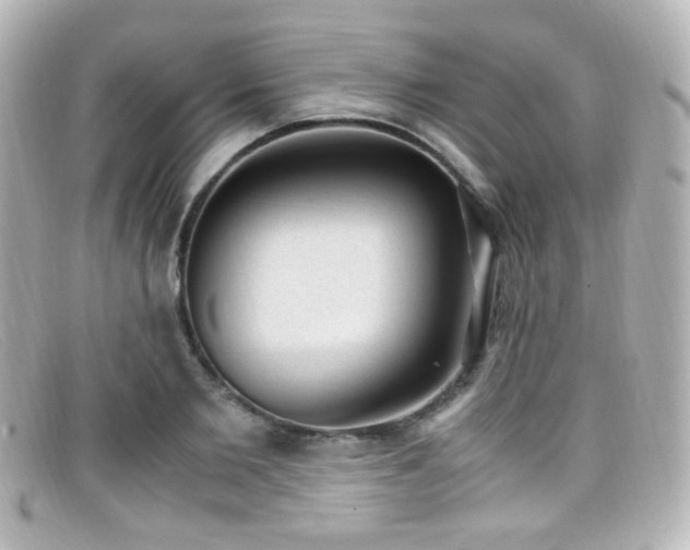 X0000099400885200805081532
