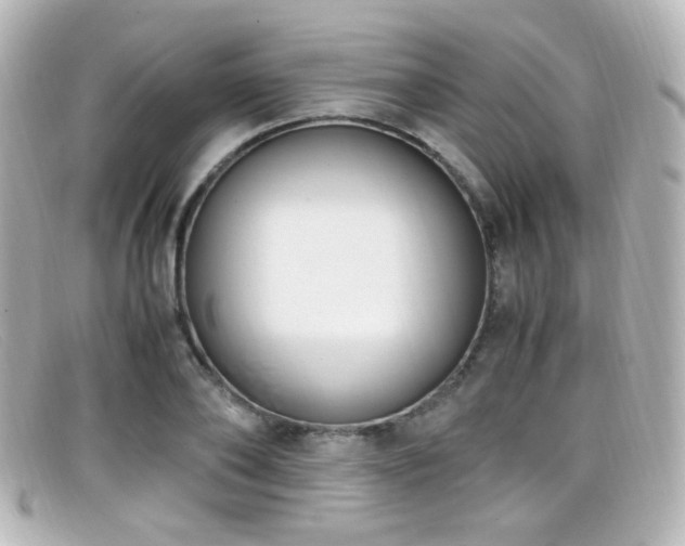X0000099400886200805081532