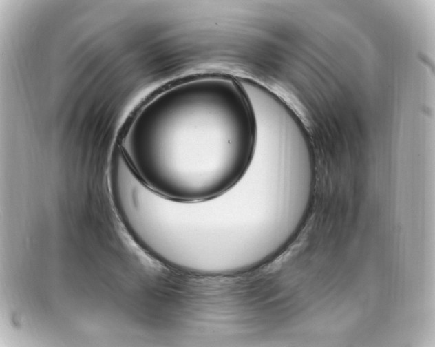 X0000099400888200805081532