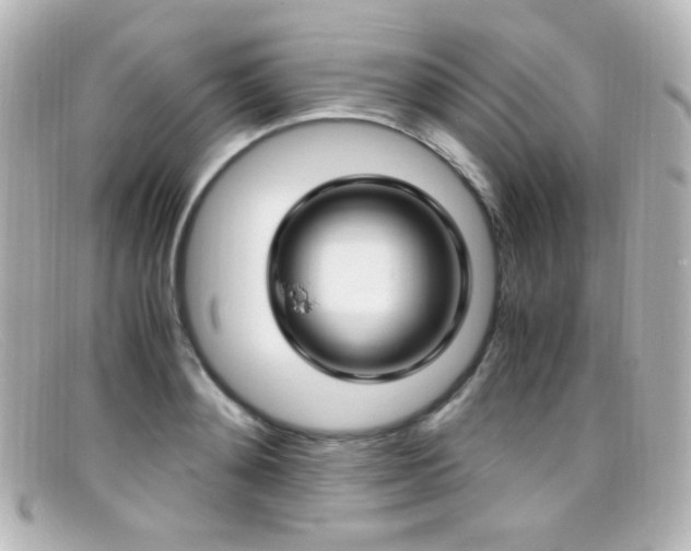 X0000099400892200805081532