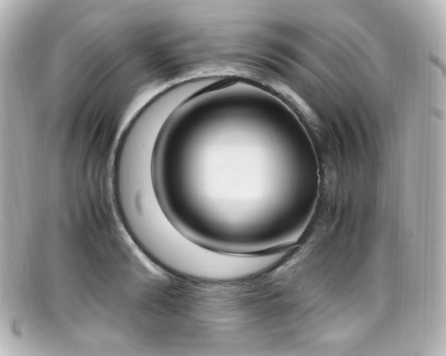 X0000099400894200805081532