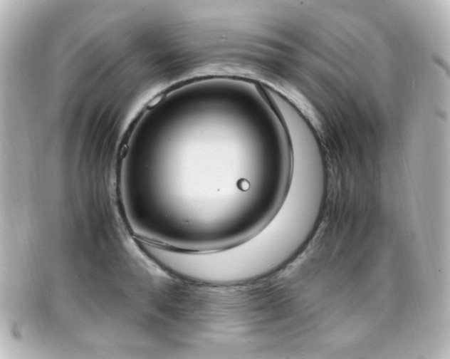 X0000099400896200805081532
