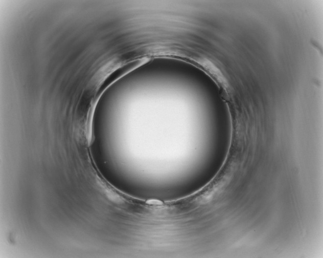 X0000099400897200805081531