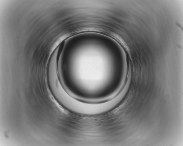 X0000099400898200805081531