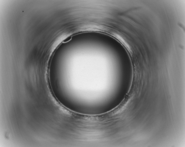 X0000099400901200805081531