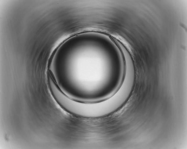 X0000099400902200805081531