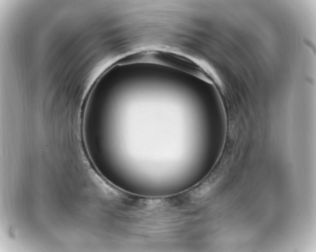 X0000099400903200805081531