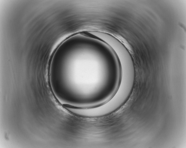 X0000099400904200805081531