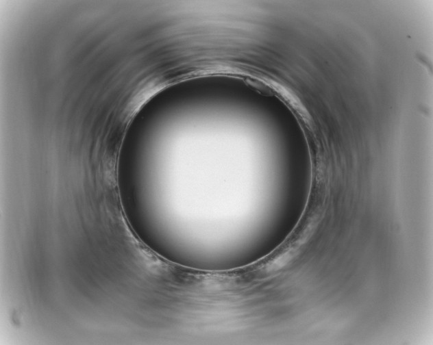 X0000099400905200805081531