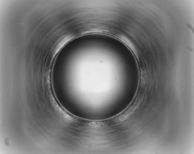 X0000099400906200805081531