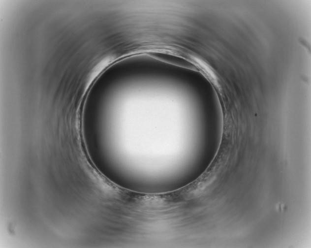 X0000099400907200805081531