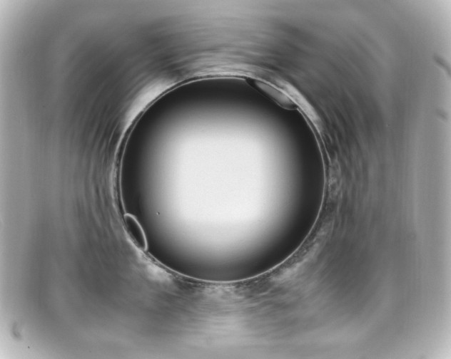 X0000099400909200805081531