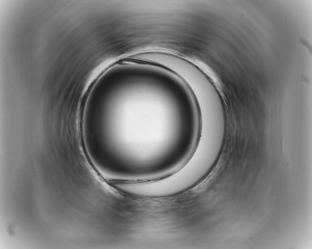 X0000099400910200805081531