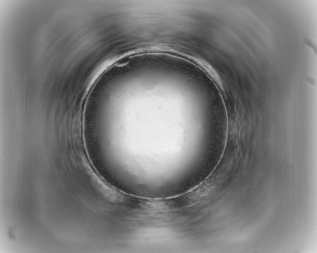 X0000099400911200805081531