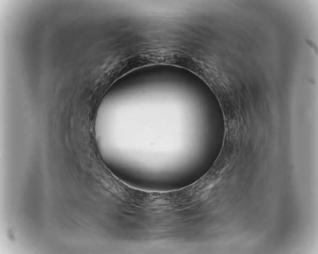 X0000099400913200805081531