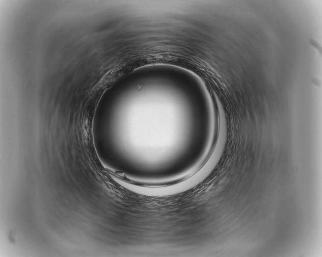 X0000099400915200805081531