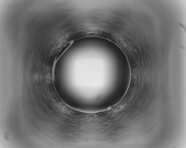 X0000099400916200805081531