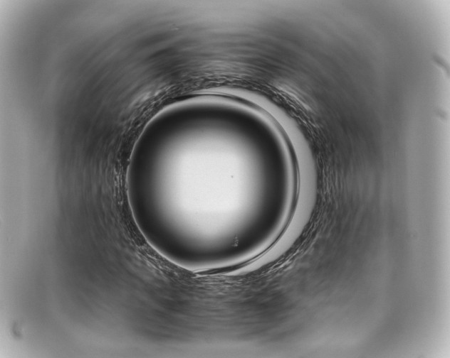 X0000099400917200805081531