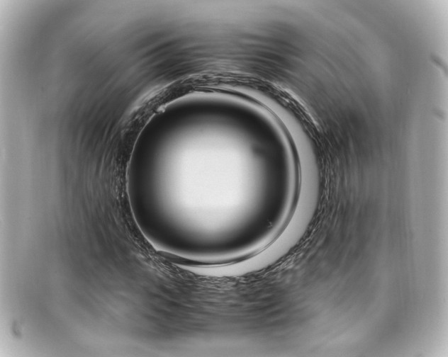 X0000099400919200805081531