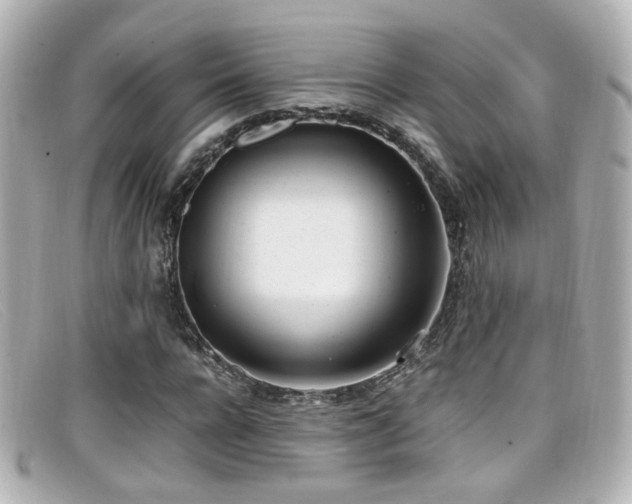 X0000099400920200805081531