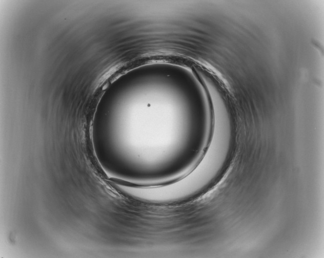 X0000099400921200805081531