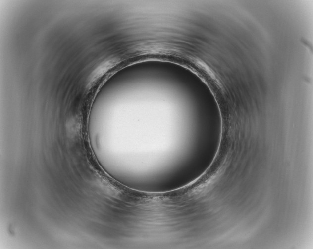 X0000099400922200805081531