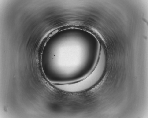 X0000099400923200805081531