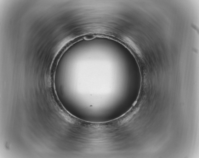 X0000099400924200805081531