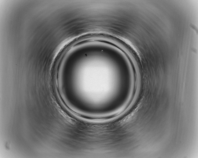 X0000099400927200805081531
