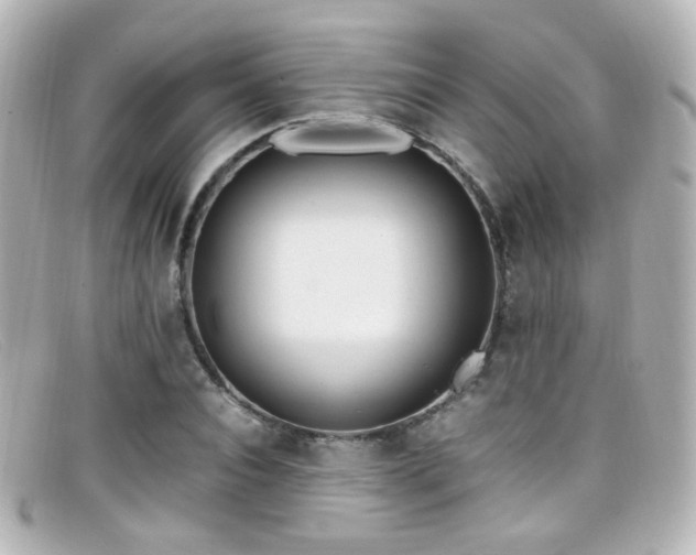 X0000099400928200805081531