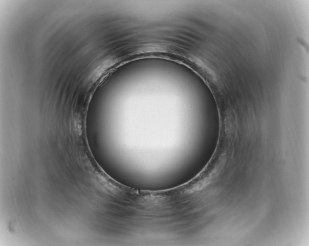 X0000099400929200805081531
