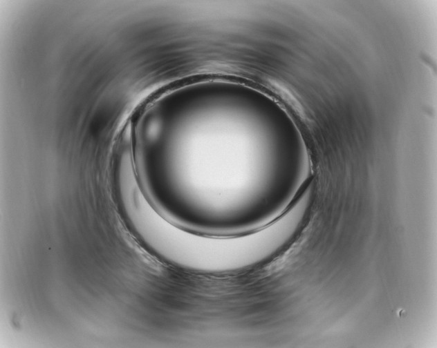 X0000099400931200805081531