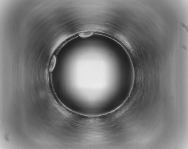 X0000099400936200805081531