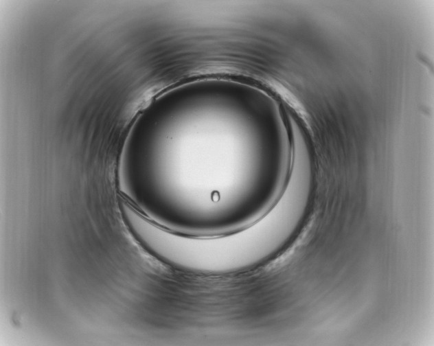 X0000099400937200805081531