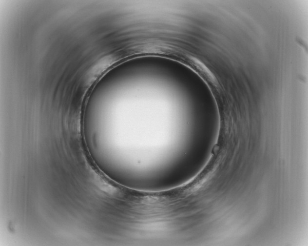 X0000099400938200805081531