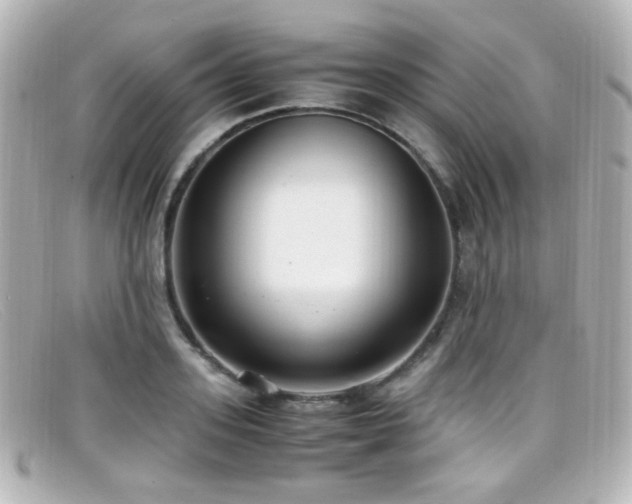 X0000099400939200805081531