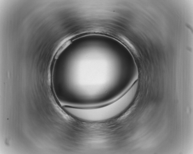 X0000099400940200805081531