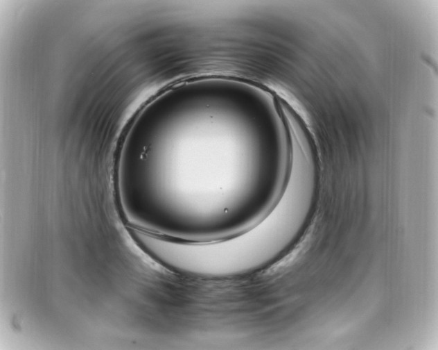 X0000099400941200805081531