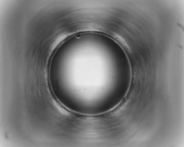 X0000099400942200805081531