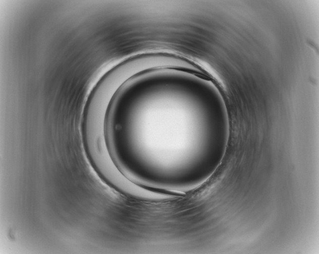 X0000099400943200805081531