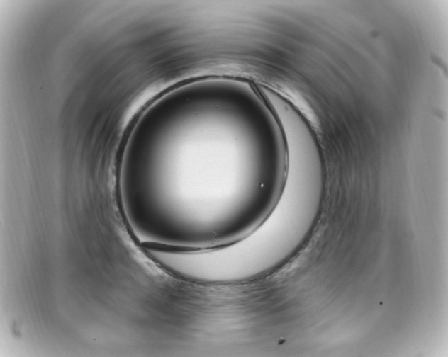 X0000099400944200805081531