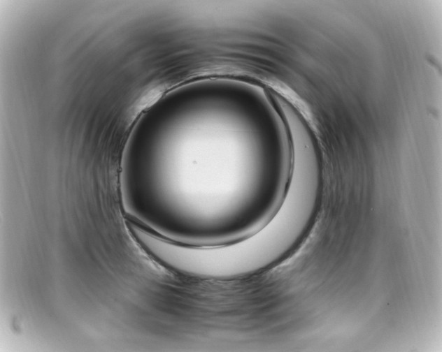 X0000099400945200805081531