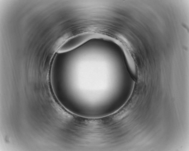 X0000099400946200805081531