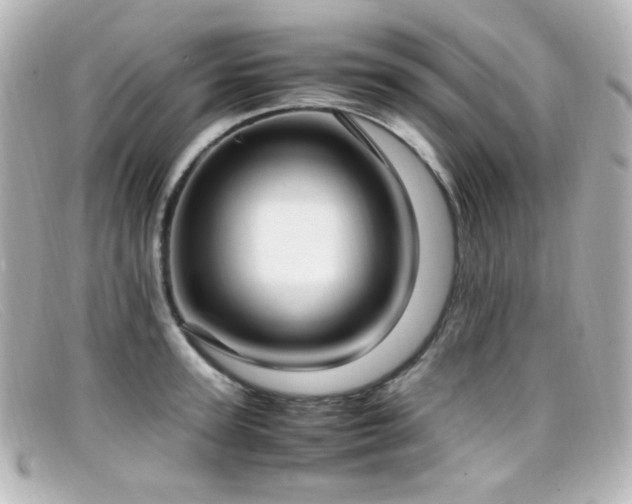 X0000099400947200805081531