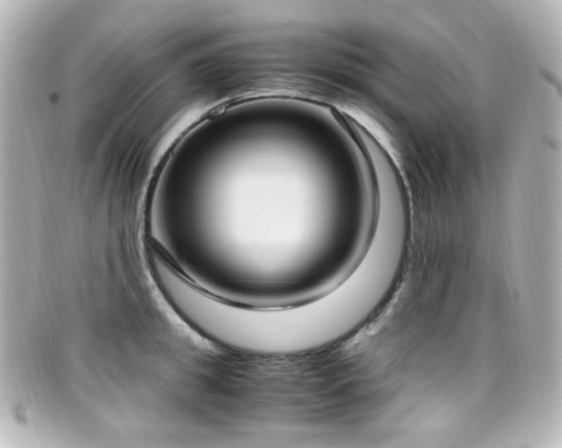 X0000099400949200805081531