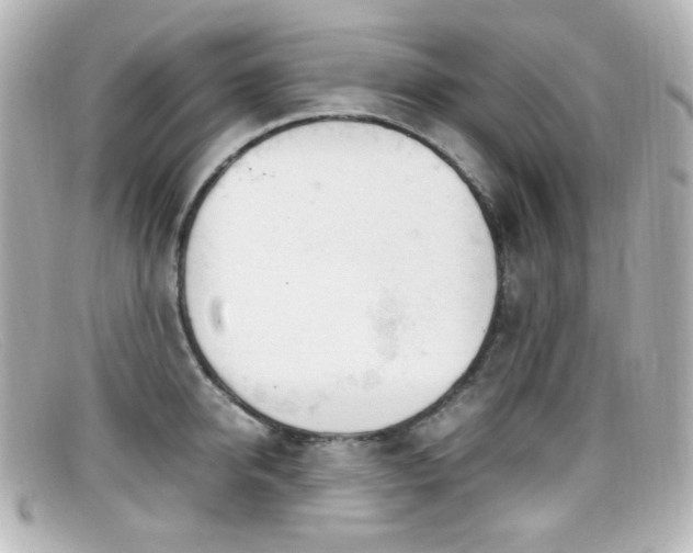 X0000099400950200805081531